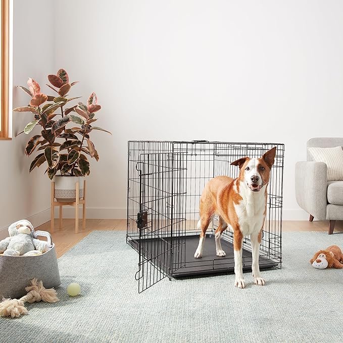 Amazon Basics Durable,Foldable Metal Wire Dog Crate with Tray, Double Door, 42 x 28 x 30 in, Black-PawvioPets