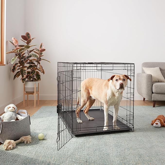 Amazon Basics Durable, Foldable Metal Wire Dog Crate with Tray, Single Door, 48 x 30 x 32.5 in, Black-PawvioPets