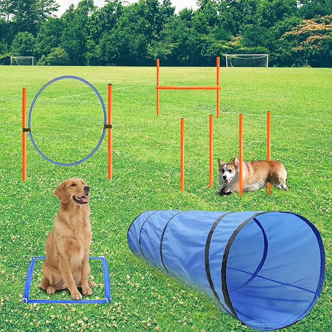 Dog Agility Training Equipment, Obstacle Agility Training Starter Kit for Doggie, Including Tunnel, 13 Weave Poles, Adjustable Hurdle, Jump Ring, Pause Box and Carrying Bag(Blue)-PawvioPets