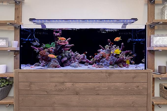 CURRENT USA 48 - 60" Inch Orbit Marine LED Saltwater Reef Marine Aquarium Light | 24 Hour IR Lighting & eFlux Wave Pump Control | Adjustable Color Spectrum for Fish Tank (4103)-PawvioPets