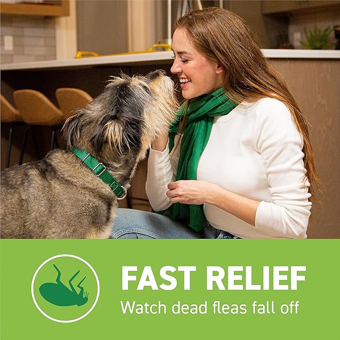 CAPSTAR Oral Flea Treatment for Dogs, Fast Acting Tablets Start Killing Fleas in 30 Minutes, Medium & Large Dogs (Over 25 lbs), 6 Doses-PawvioPets