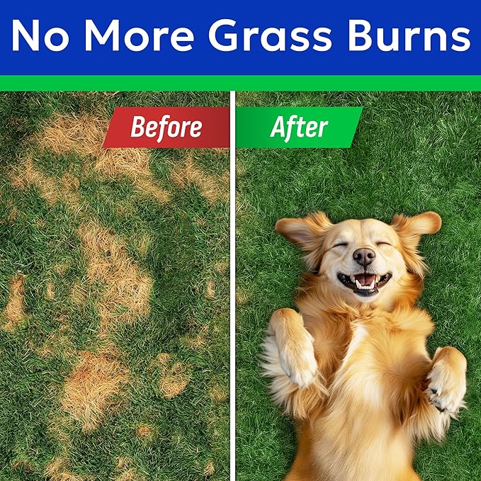 BARK&SPARK Green Grass Chews - Pee Grass Spot Saver Caused by Dog Urine - Urine Neutralizer for Lawn, Gut Health Probiotics & Digestive Enzymes,Lawn Burn from Dog Urine, Grass Burn Spot Chews, Rocks-PawvioPets