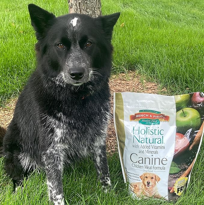 Bench & Field Holistic Natural Adult Dry Dog Food, Chicken Meal and Brown Rice Recipe 6.6 lb Bags (Pack of 4)-PawvioPets