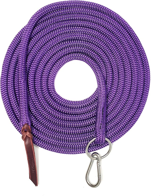 22' Long Line with SS O Ring and Carabiner (Purple)-PawvioPets