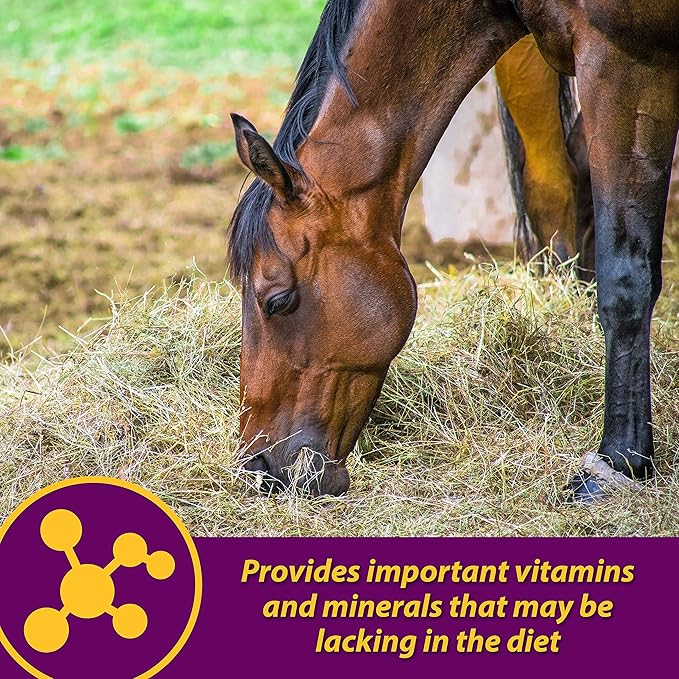 Farnam Horse Health Red Cell Pellets, Vitamin-Iron-Mineral Supplement for Horses, Helps Fill Important Nutritional Gaps in Horse's Diet, 4 lbs., 64-Day Supply-PawvioPets