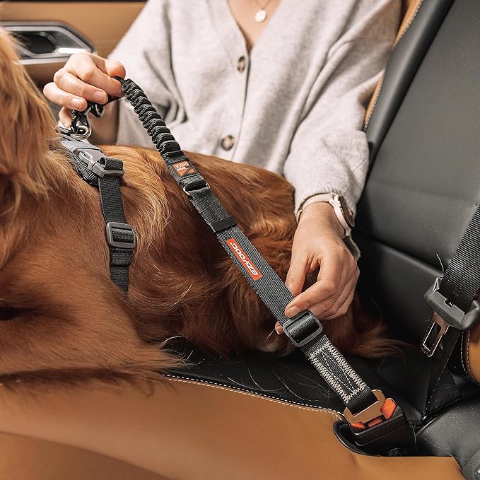 EzyDog Zero Shock Click - Shock Absorbing Dog Seat Belt Car Harness Attachment for Dogs - Adjustable Dog Restraints Seatbelts for Car Travel and Safety - (20in - 26in, Black)-PawvioPets