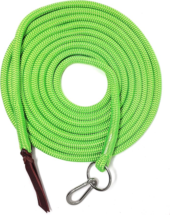 22' Long Line with SS O Ring and Carabiner (Neon Green)-PawvioPets