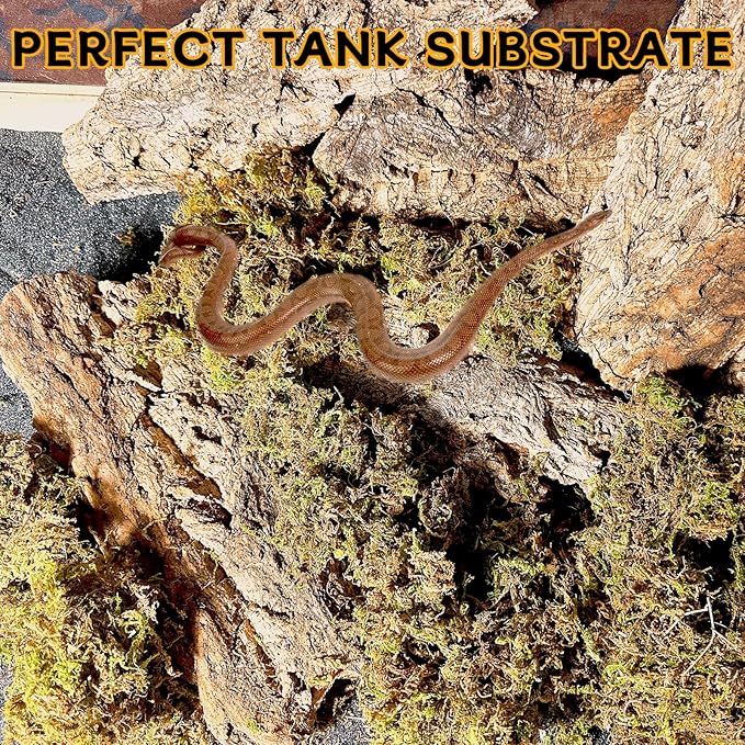 BNOSDM Reptile Terrarium Bark Substrate Bedding Tortoise Natural Cork Bark Reptile Climbing Mat Habitat Decor for Lizard Snake Spiders Hermit Crabs Tarantula Geckos Bearded Dragons (1.4 LB)-PawvioPets