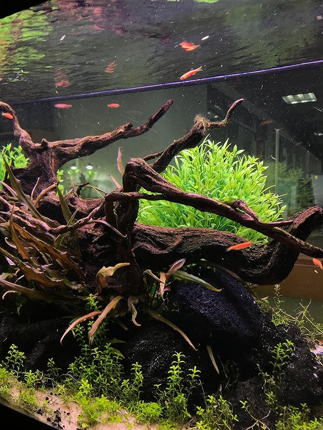 BEGONDIS Aquarium Decorations Fish Tank Artificial Green Water Plants Made of Soft Plastic-PawvioPets