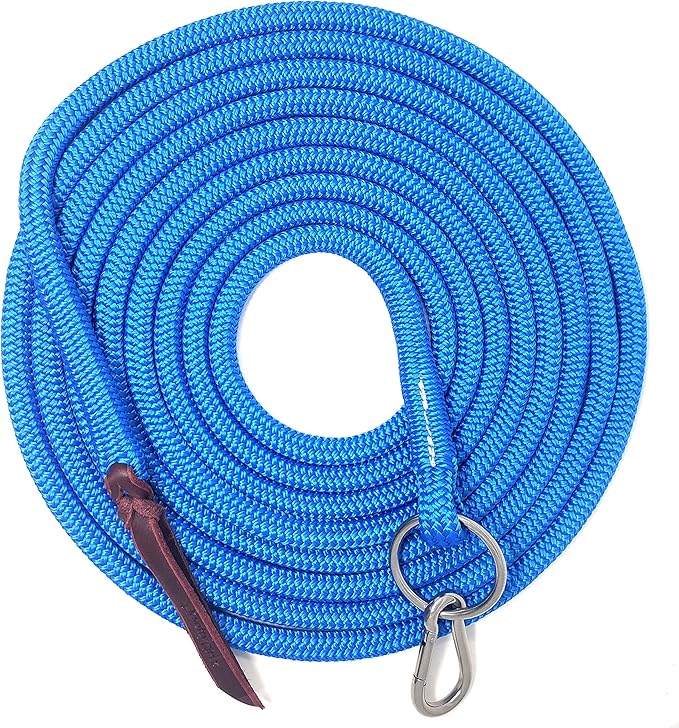 22' Long Line with SS O Ring and Carabiner (Blue)-PawvioPets