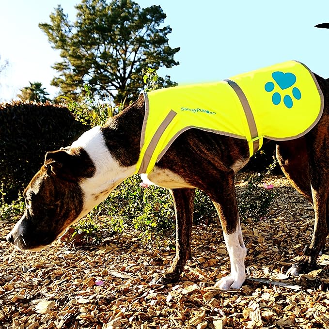 Dog Reflective Vest – Hi-Vis Fluorescent Visibility That Helps to Safeguard Your Pet On/Off Leash in Urban & Rural Areas (Yellow, X-Small)-PawvioPets