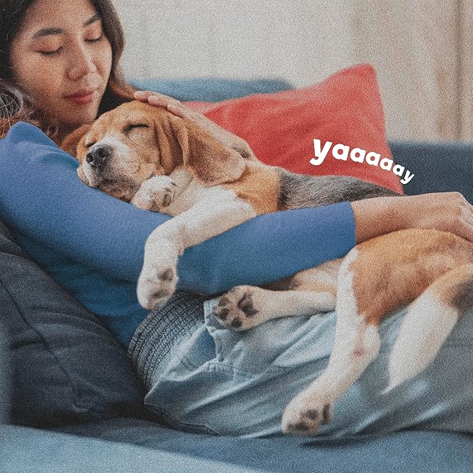 Adams Flea & Tick Collar Plus for Dogs & Puppies |2 Pack |12-Month Protection |One Size Fits All Dogs & Puppies 12 Weeks and Older |Kills Fleas and Ticks |Repels Mosquitoes (excluding California)-PawvioPets