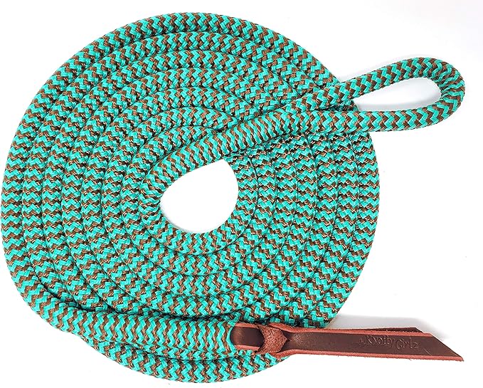 Double Braid Lead Rope with Eye Splice Loop, 12-14FT Lengths (Turquoise with Brown, 12 ft.)-PawvioPets
