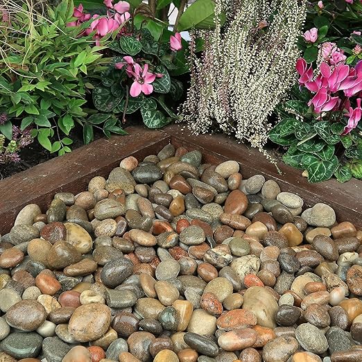 40lbs Large River Rocks for Landscaping, 2-3 Inch Natural Unpolished Bulk Pebbles, Hand-Picked Premium Stones for Garden Design Fish Tank, Flower Pots, Pathways and Backyard, Mixed Color-PawvioPets